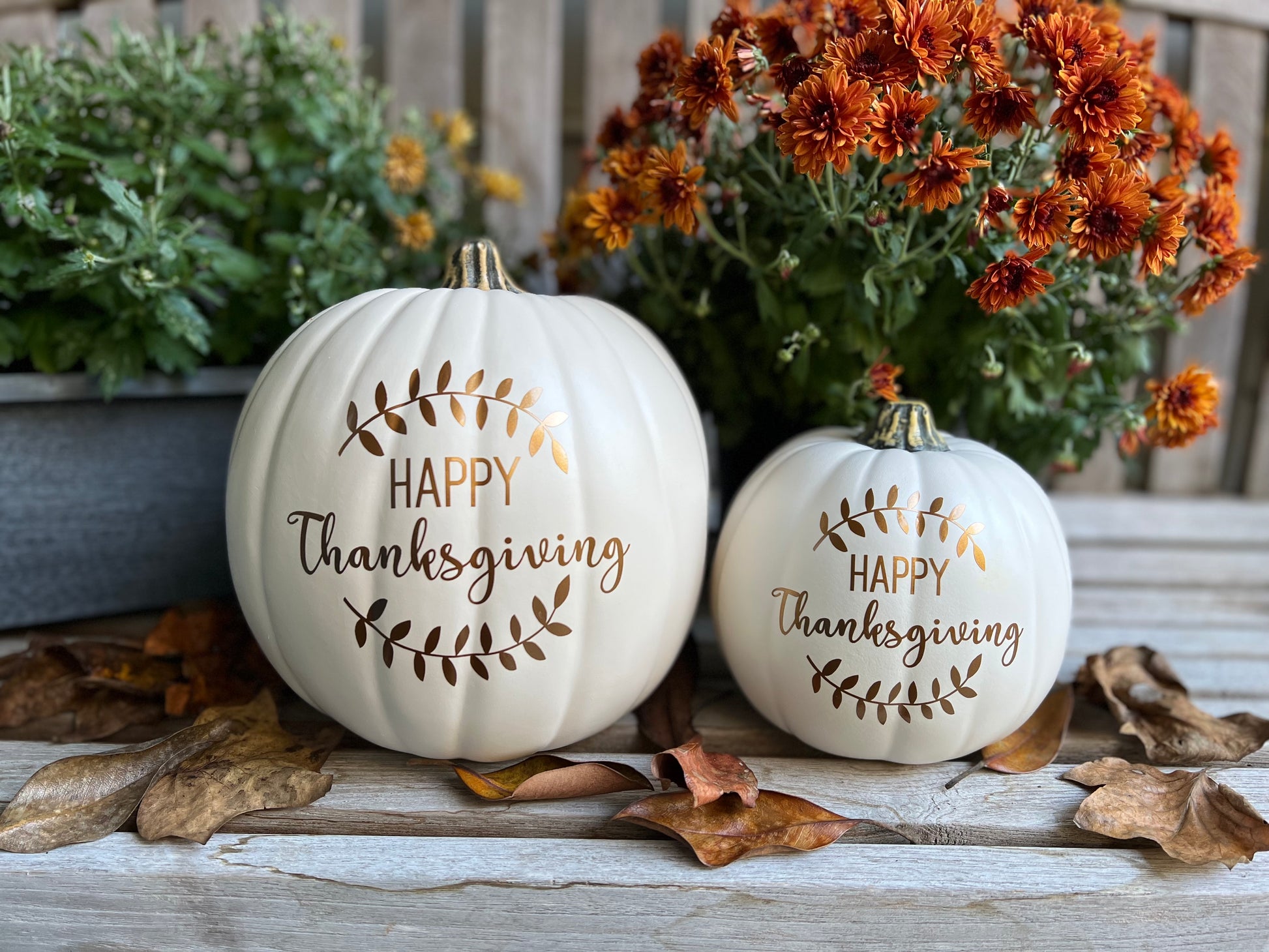 Medium and small antique white pumpkin set with Happy Thanksgiving in bronze with colorful mum blossoms in background
