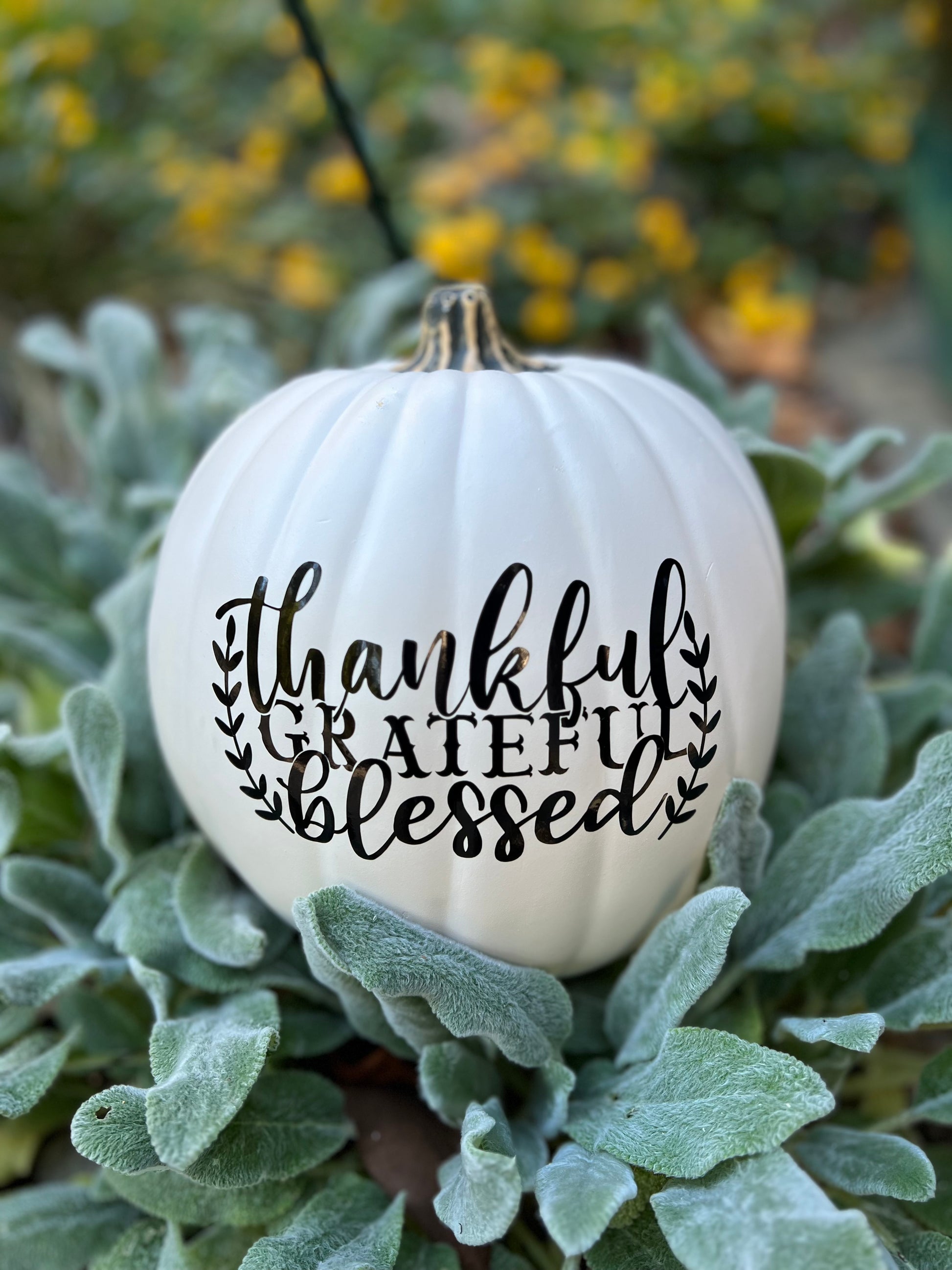 Medium antique white pumpkin with Thankful Grateful Blessed text in black