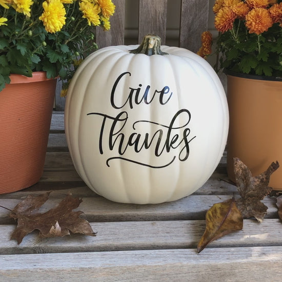 video still of medium white decorative pumpkin with give thanks text in black surrounded by mum blossoms