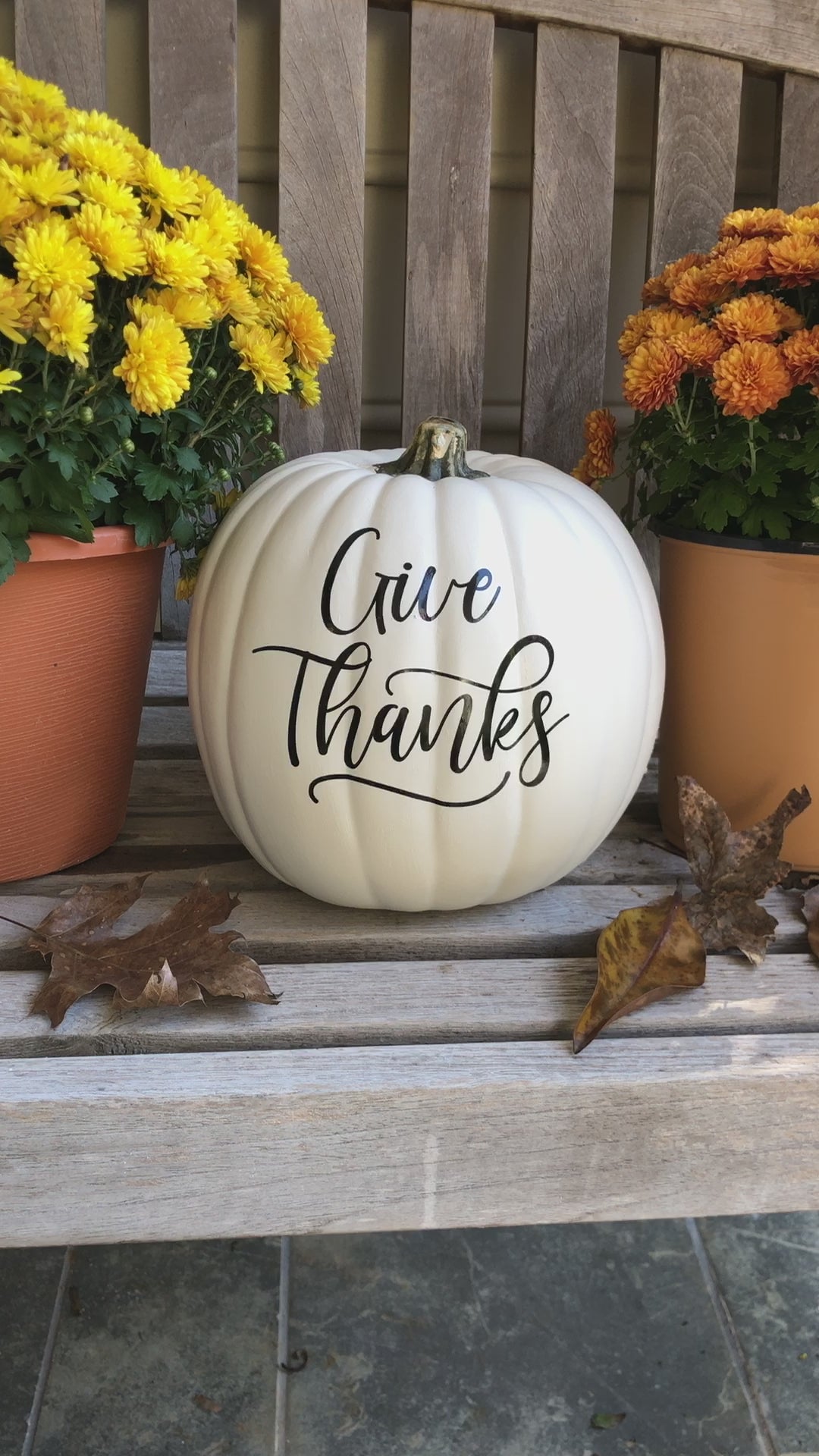 video still of medium white decorative pumpkin with give thanks text in black surrounded by mum blossoms